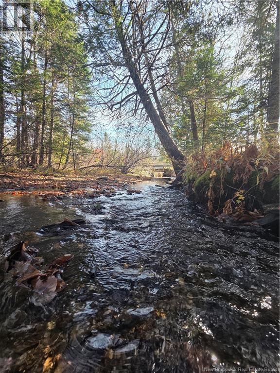 141 Grub Road, Middle Hainesville, New Brunswick  E6E 1B3 - Photo 46 - NB129378