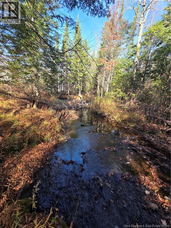 141 Grub Road, Middle Hainesville, New Brunswick  E6E 1B3 - Photo 44 - NB129378