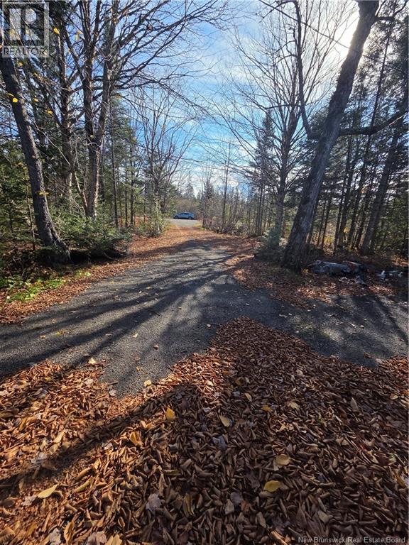 141 Grub Road, Middle Hainesville, New Brunswick  E6E 1B3 - Photo 43 - NB129378