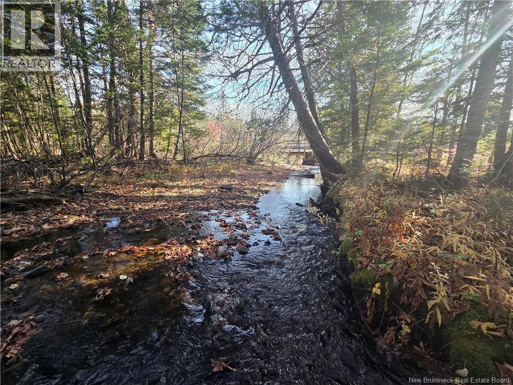 141 Grub Road, Middle Hainesville, New Brunswick  E6E 1B3 - Photo 45 - NB129378