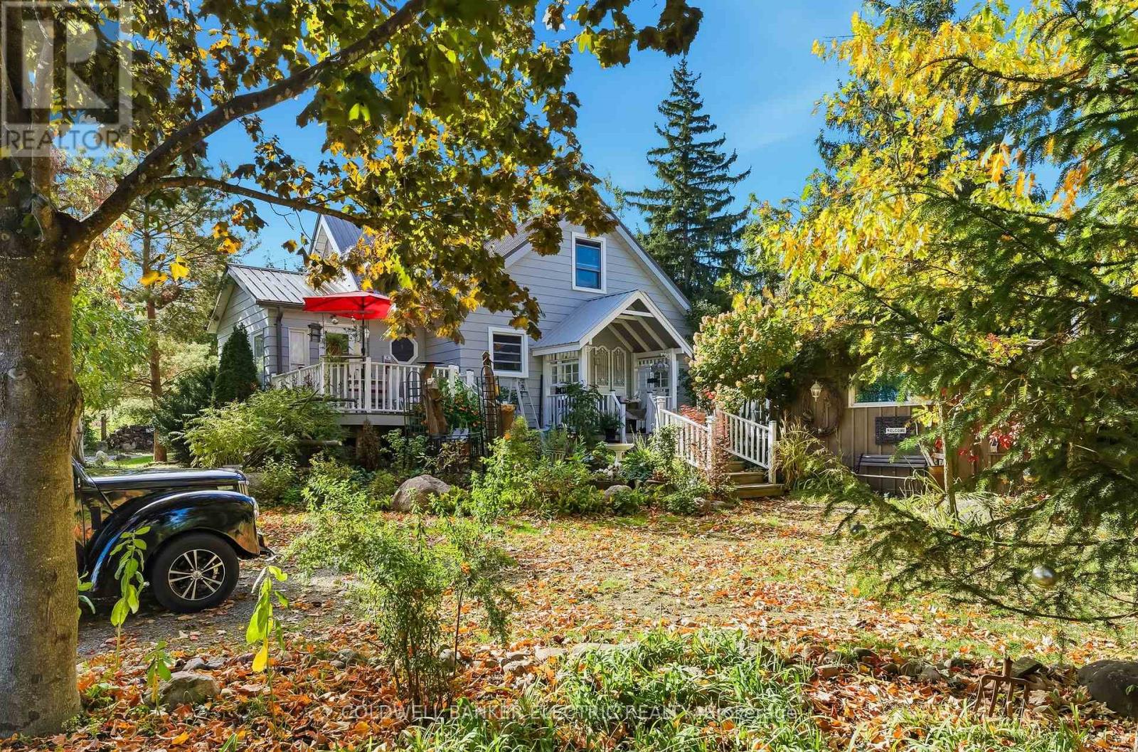 994 County Rd 19 Road, Selwyn, Ontario K9J 6X2 - Photo 19 - X12547724