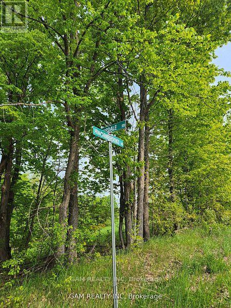 5355 Hinchinbrooke Road, Frontenac, Ontario K0H 1W0 - Photo 4 - X12547688