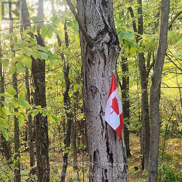 5355 Hinchinbrooke Road, Frontenac, Ontario K0H 1W0 - Photo 7 - X12547688