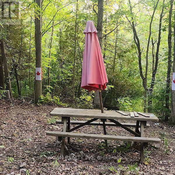 5355 Hinchinbrooke Road, Frontenac, Ontario K0H 1W0 - Photo 9 - X12547688