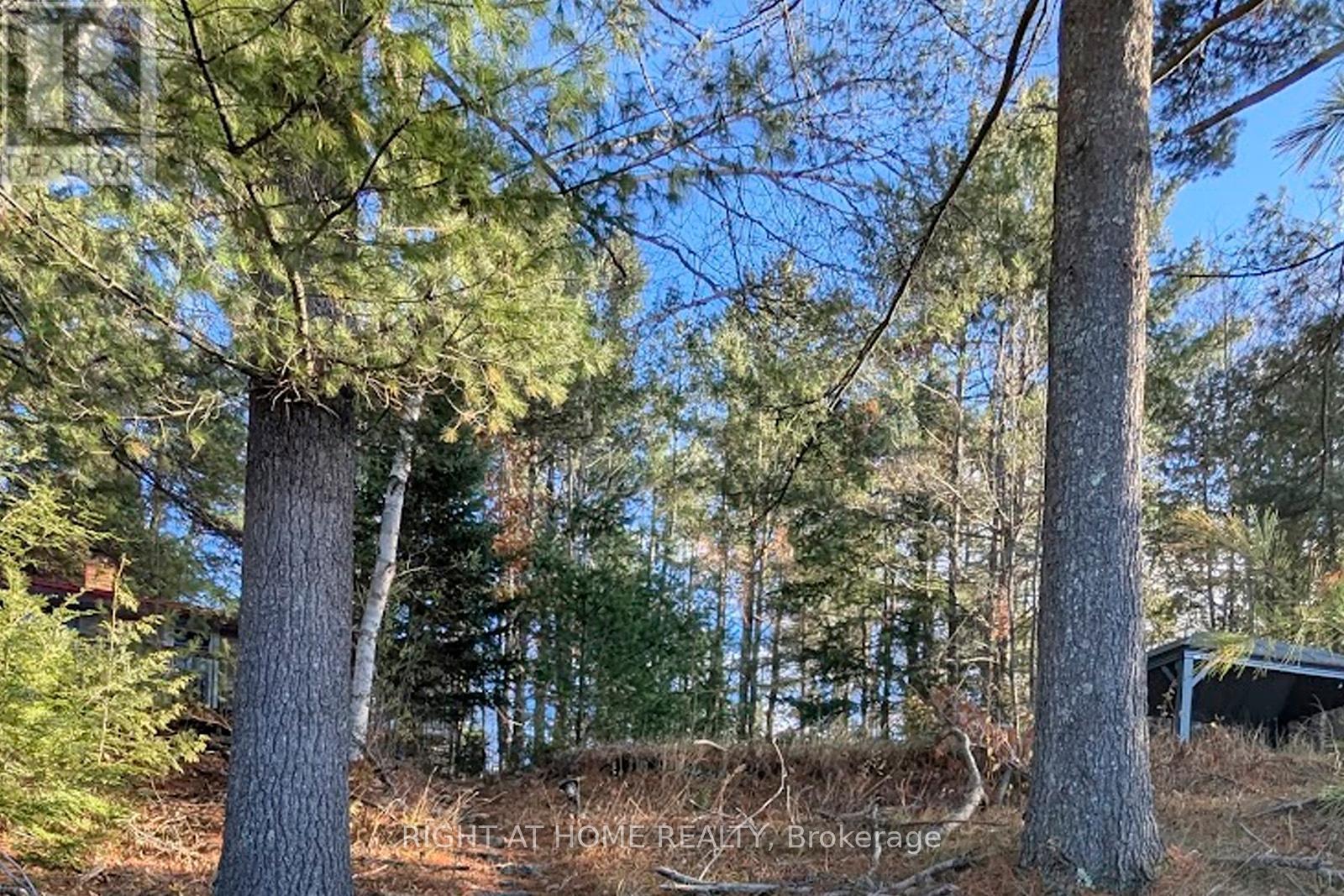 2 Anne Drive, Trent Lakes, Ontario K0M 2A0 - Photo 30 - X12547698