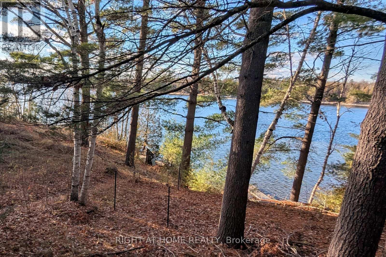 2 Anne Drive, Trent Lakes, Ontario K0M 2A0 - Photo 31 - X12547698