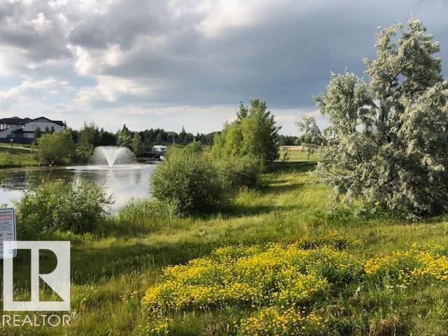 3512 Goodridge Ba Nw, Edmonton, Alberta  T5T 4C6 - Photo 63 - E4456775