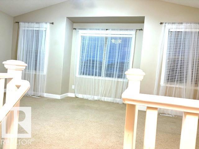 3512 Goodridge Ba Nw, Edmonton, Alberta  T5T 4C6 - Photo 47 - E4456775