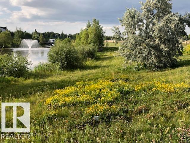 3512 Goodridge Ba Nw, Edmonton, Alberta  T5T 4C6 - Photo 64 - E4456775