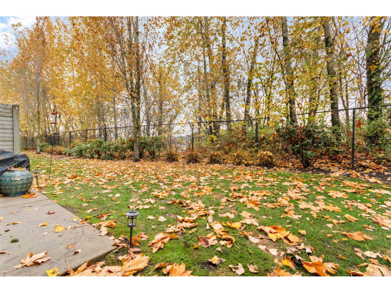 27 34248 King Road, Abbotsford, British Columbia  V2S 0B1 - Photo 34 - R3067113