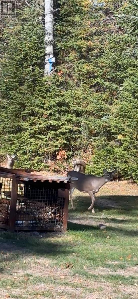 315 Somerville 11 Concession, Kawartha Lakes, Ontario  K0M 1C0 - Photo 47 - X12402651