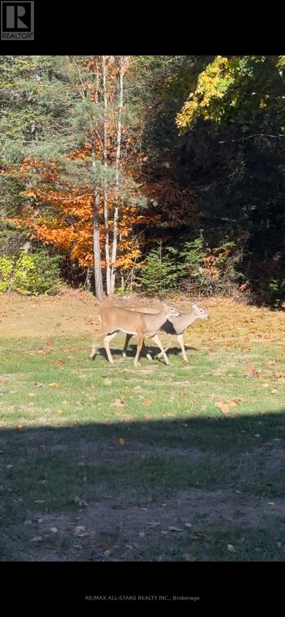 315 Somerville 11 Concession, Kawartha Lakes, Ontario  K0M 1C0 - Photo 44 - X12402651