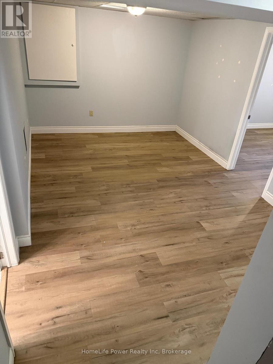 Basement - 3702 Densbury Drive, Mississauga, Ontario  L5N 6Z1 - Photo 2 - W12547952