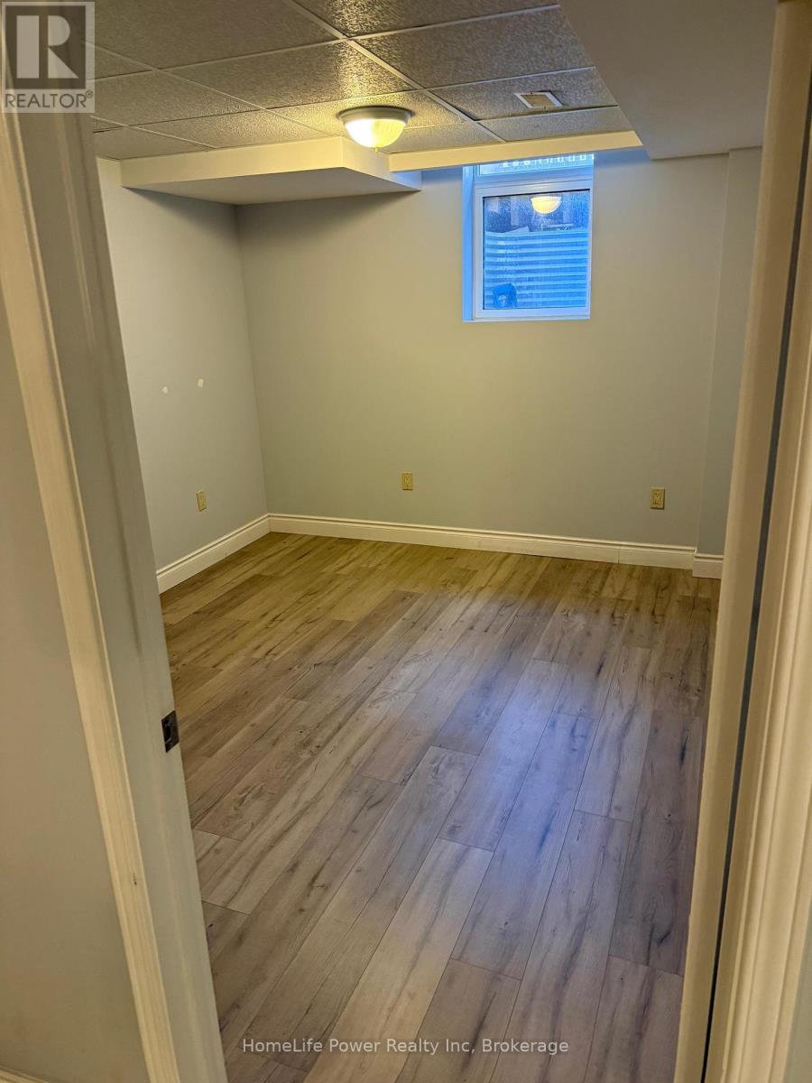 Basement - 3702 Densbury Drive, Mississauga, Ontario  L5N 6Z1 - Photo 3 - W12547952