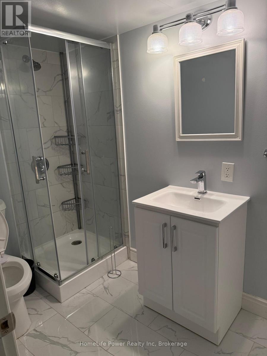 Basement - 3702 Densbury Drive, Mississauga, Ontario  L5N 6Z1 - Photo 5 - W12547952