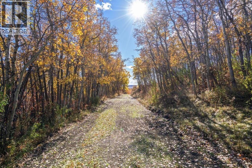 306 Avenue W, Rural Foothills County, Alberta  T2S 1A2 - Photo 2 - A2265338