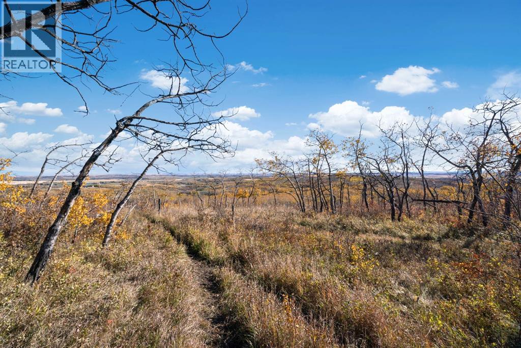 306 Avenue W, Rural Foothills County, Alberta  T2S 1A2 - Photo 4 - A2265338