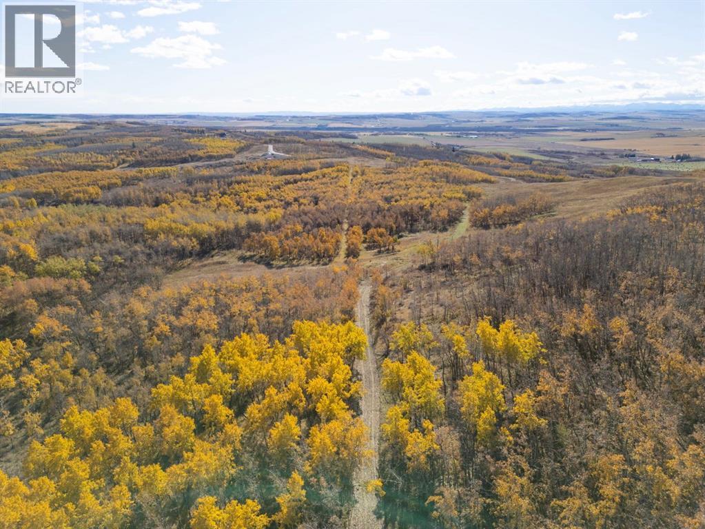 306 Avenue W, Rural Foothills County, Alberta  T2S 1A2 - Photo 35 - A2265338