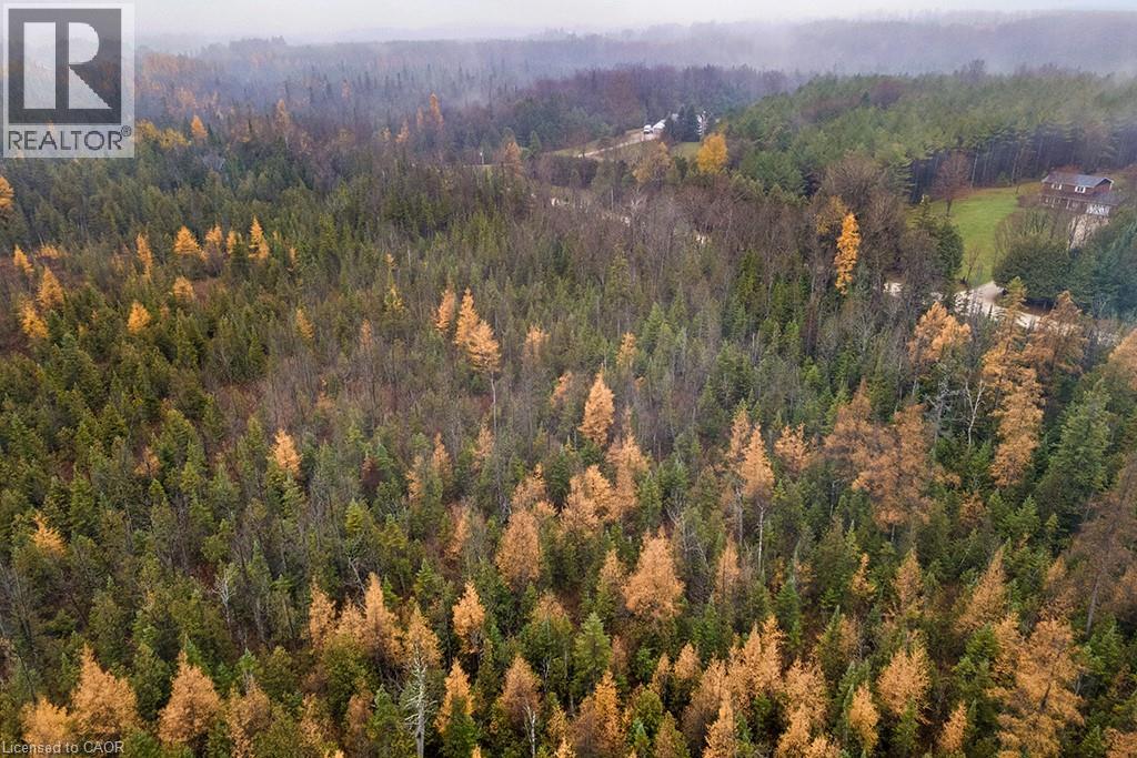 Pt Lt 11 Concession 11, West Grey, Ontario N0C 1H0 - Photo 7 - 40786910