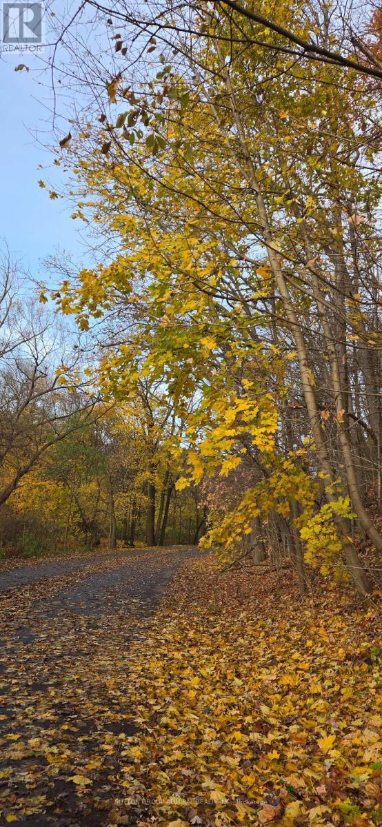 72 Baby Point Road, Toronto, Ontario  M6S 2G3 - Photo 3 - W12447263