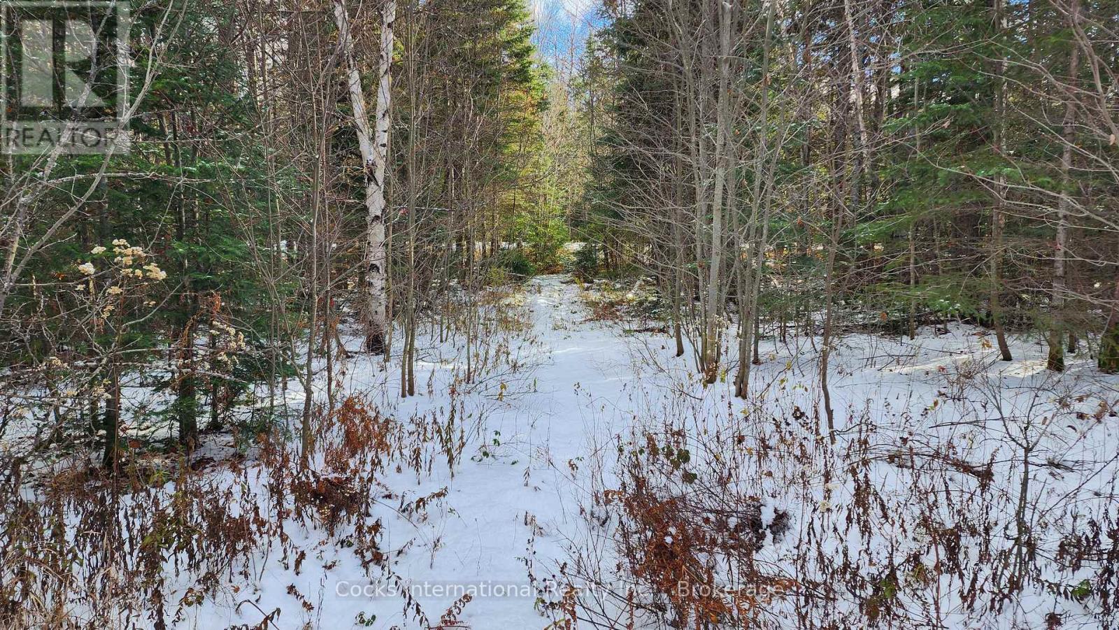 44 Expressway Road, Perry, Ontario P0A 1J0 - Photo 24 - X12548048