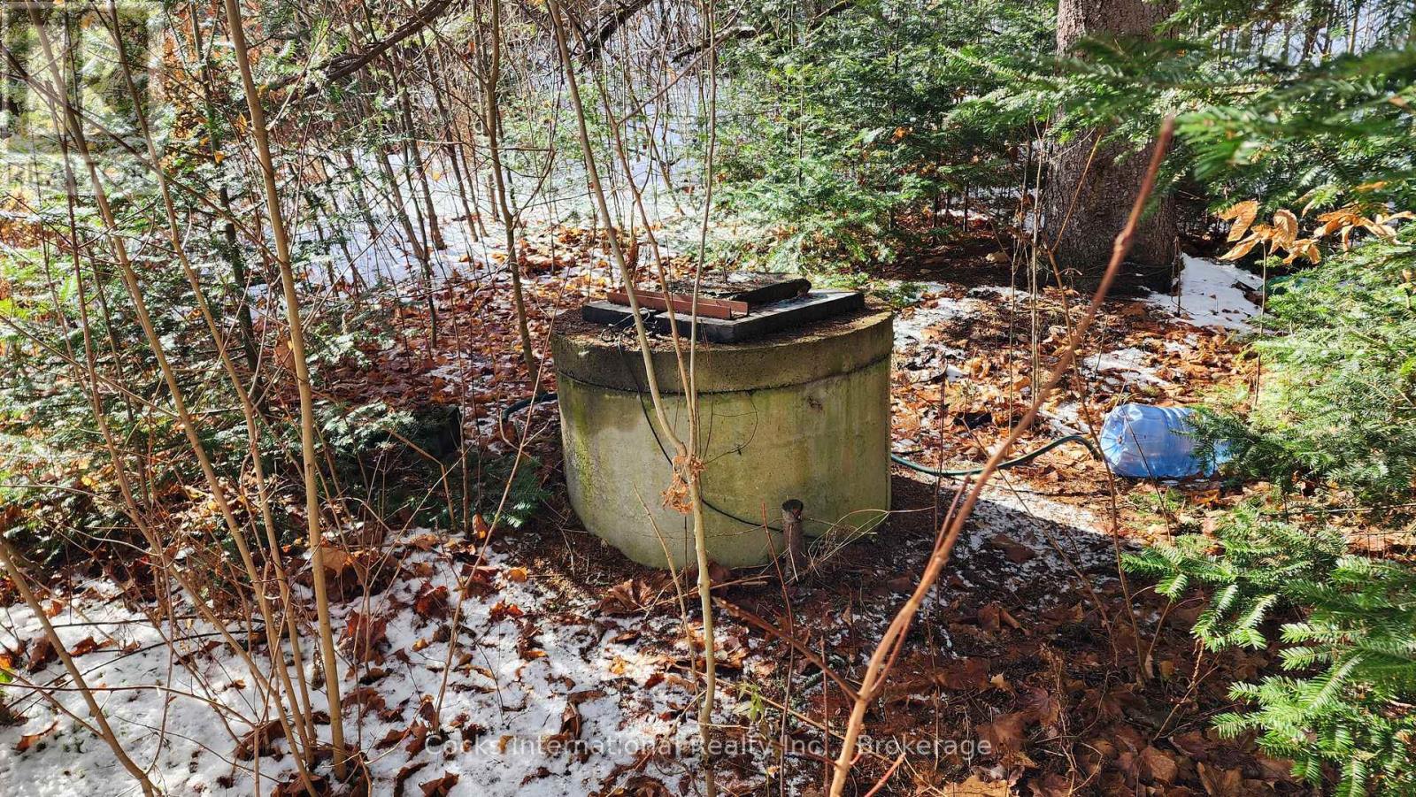 44 Expressway Road, Perry, Ontario P0A 1J0 - Photo 33 - X12548048