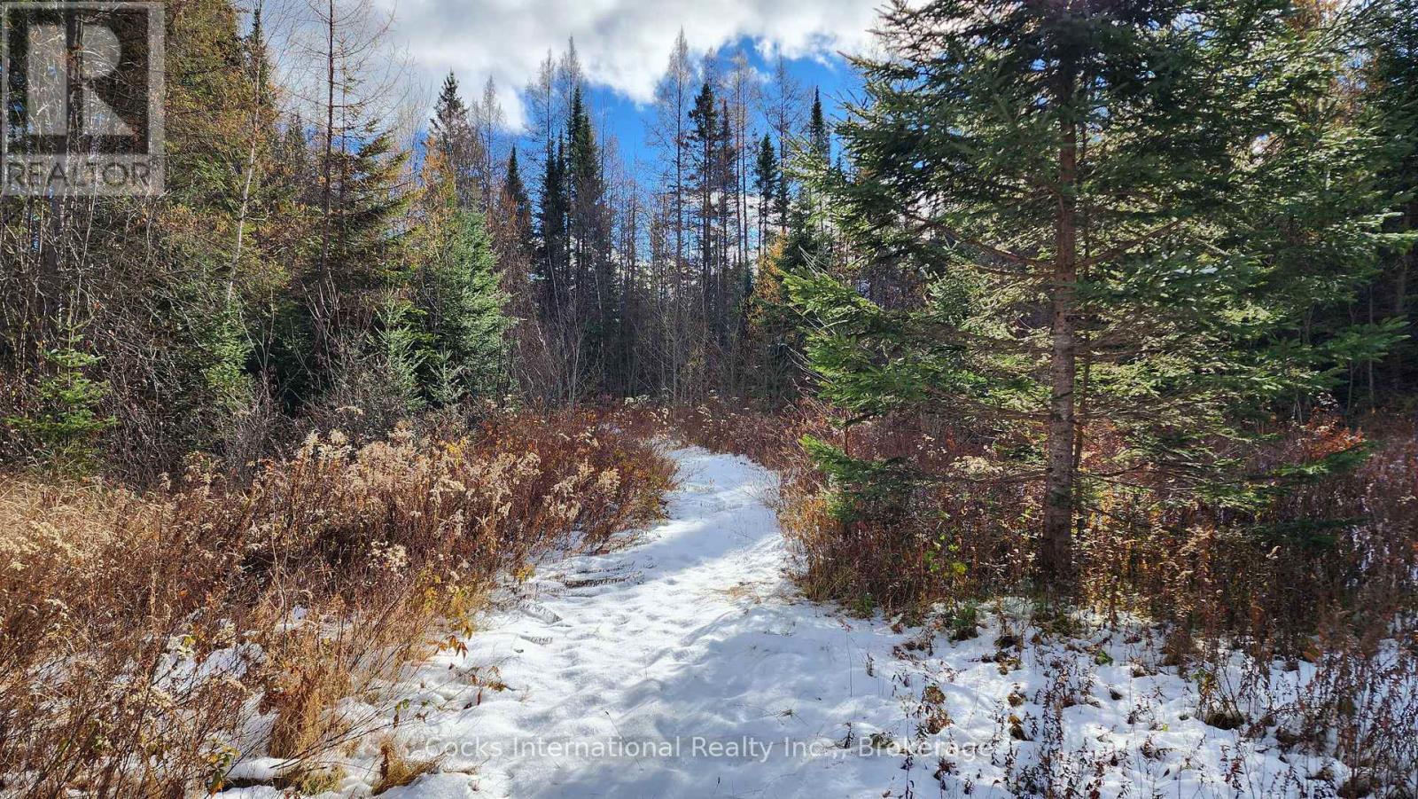 44 Expressway Road, Perry, Ontario P0A 1J0 - Photo 35 - X12548048