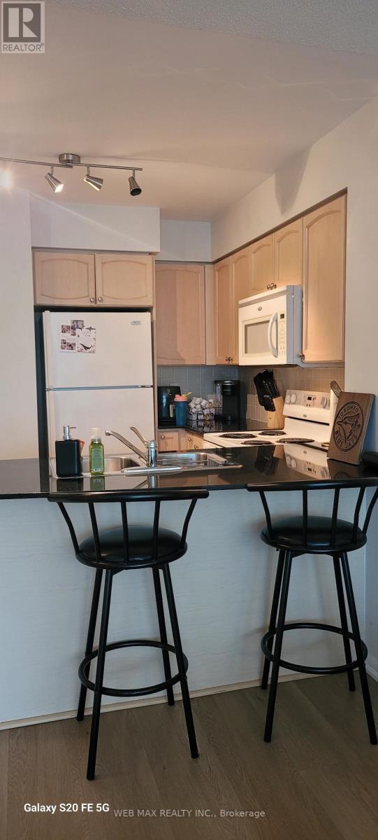 1006 - 231 Fort York Boulevard, Toronto, Ontario  M5V 1B2 - Photo 8 - C12548110