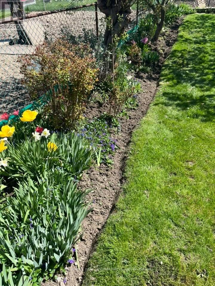 23 Alladin Avenue, Toronto, Ontario M6L 1S4 - Photo 17 - W12544014