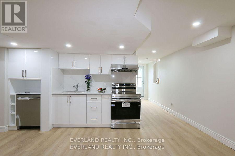 Basement - 38 Kimberly Court, Richmond Hill, Ontario  L4E 4C6 - Photo 10 - N12548140