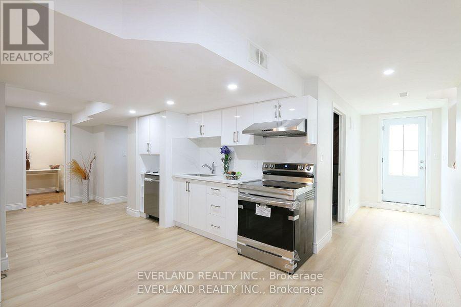 Basement - 38 Kimberly Court, Richmond Hill, Ontario  L4E 4C6 - Photo 4 - N12548140