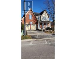 Bsmt - 55 Rollinghill Road, Richmond Hill (Jefferson), Ca