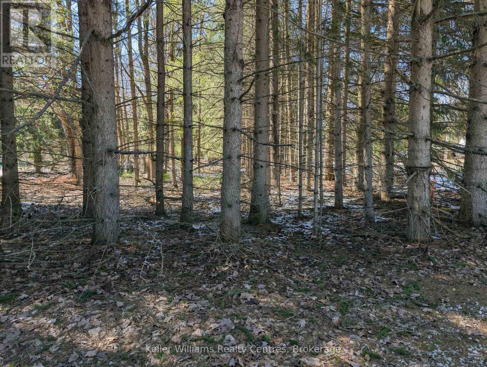 120 Anderson Drive S, West Grey, Ontario N0G 1S0 - Photo 12 - X12548288