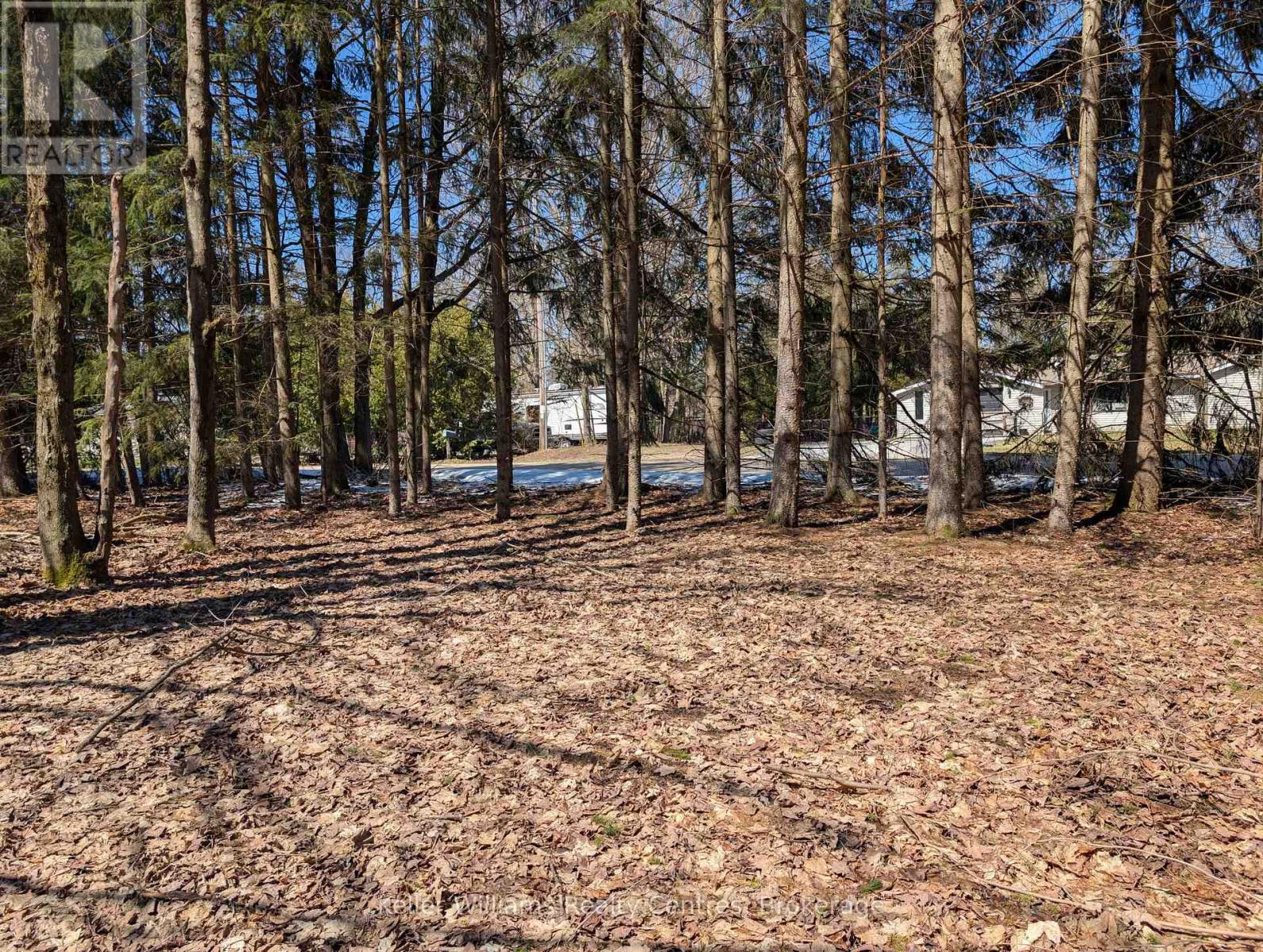 120 Anderson Drive S, West Grey, Ontario N0G 1S0 - Photo 13 - X12548288