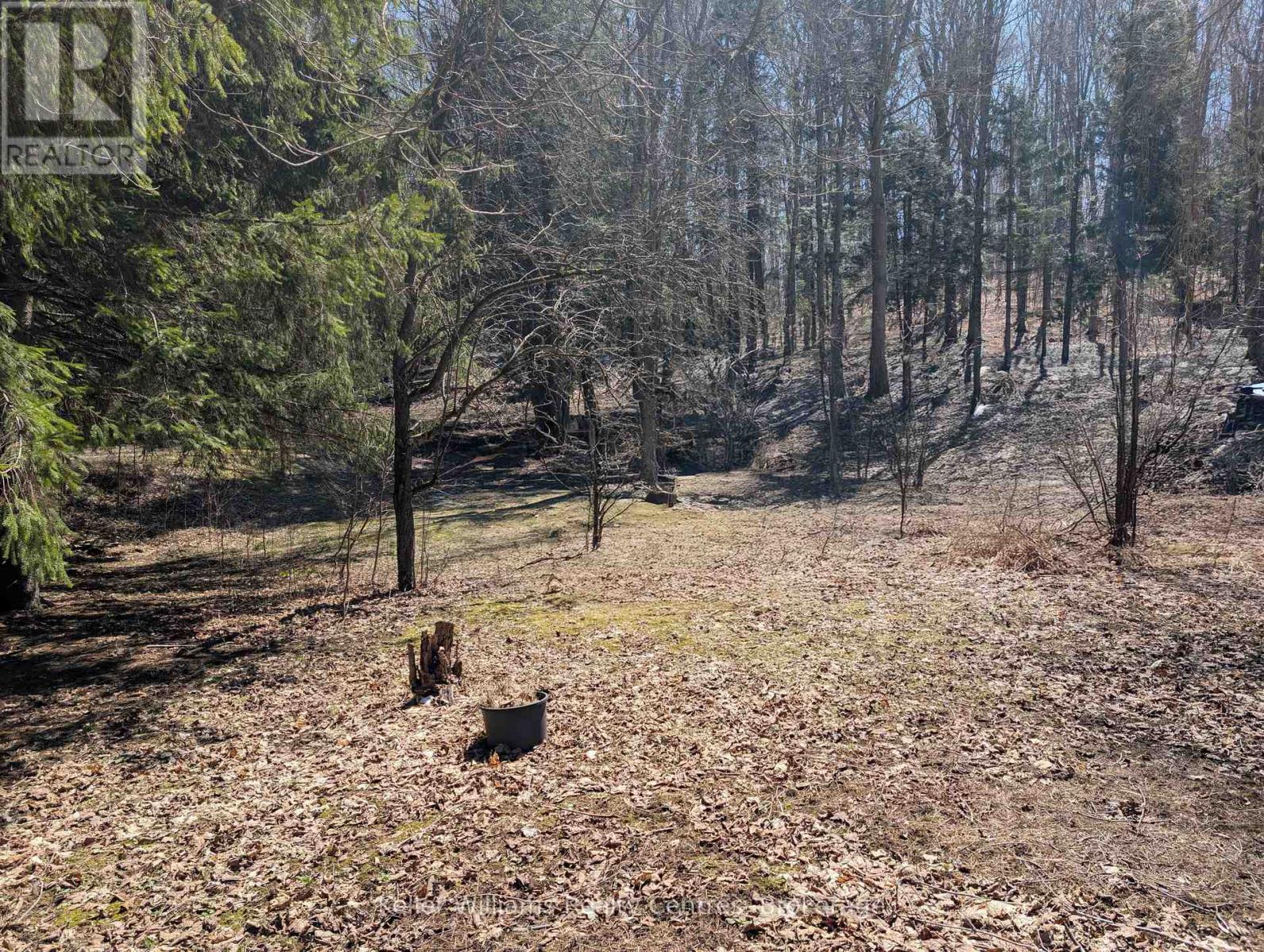 120 Anderson Drive S, West Grey, Ontario N0G 1S0 - Photo 14 - X12548288