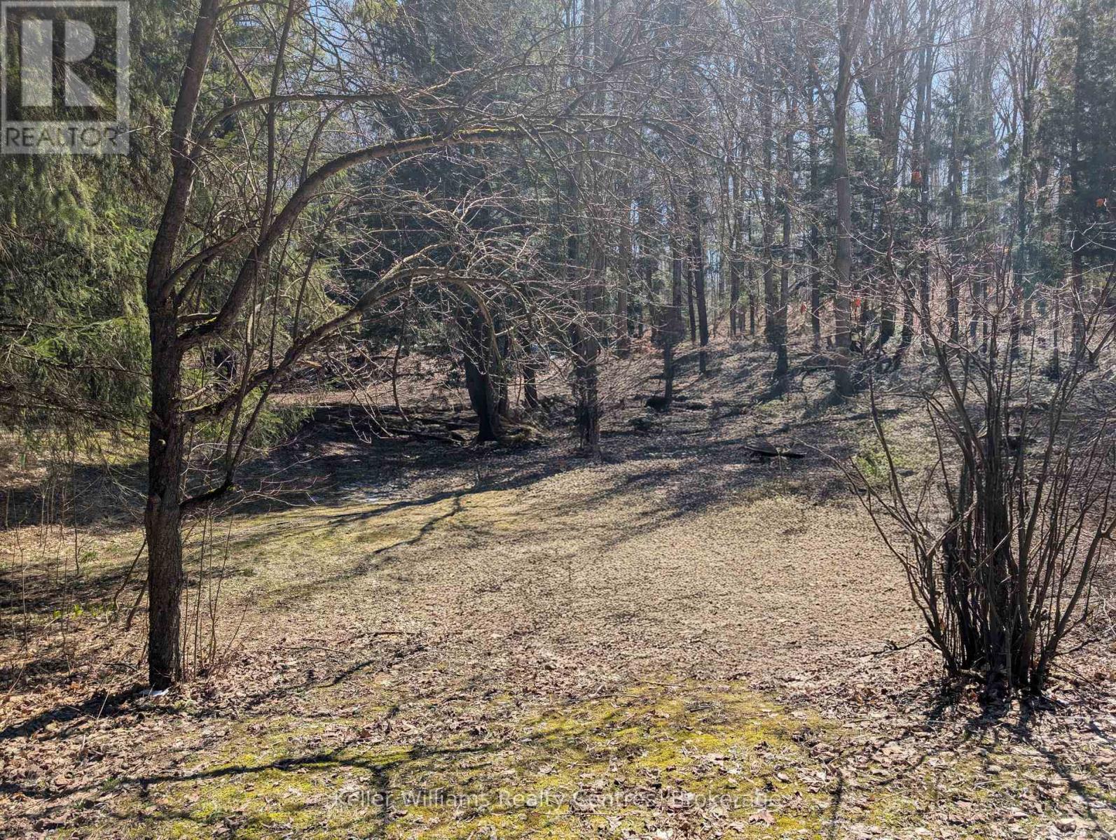 120 Anderson Drive S, West Grey, Ontario N0G 1S0 - Photo 15 - X12548288