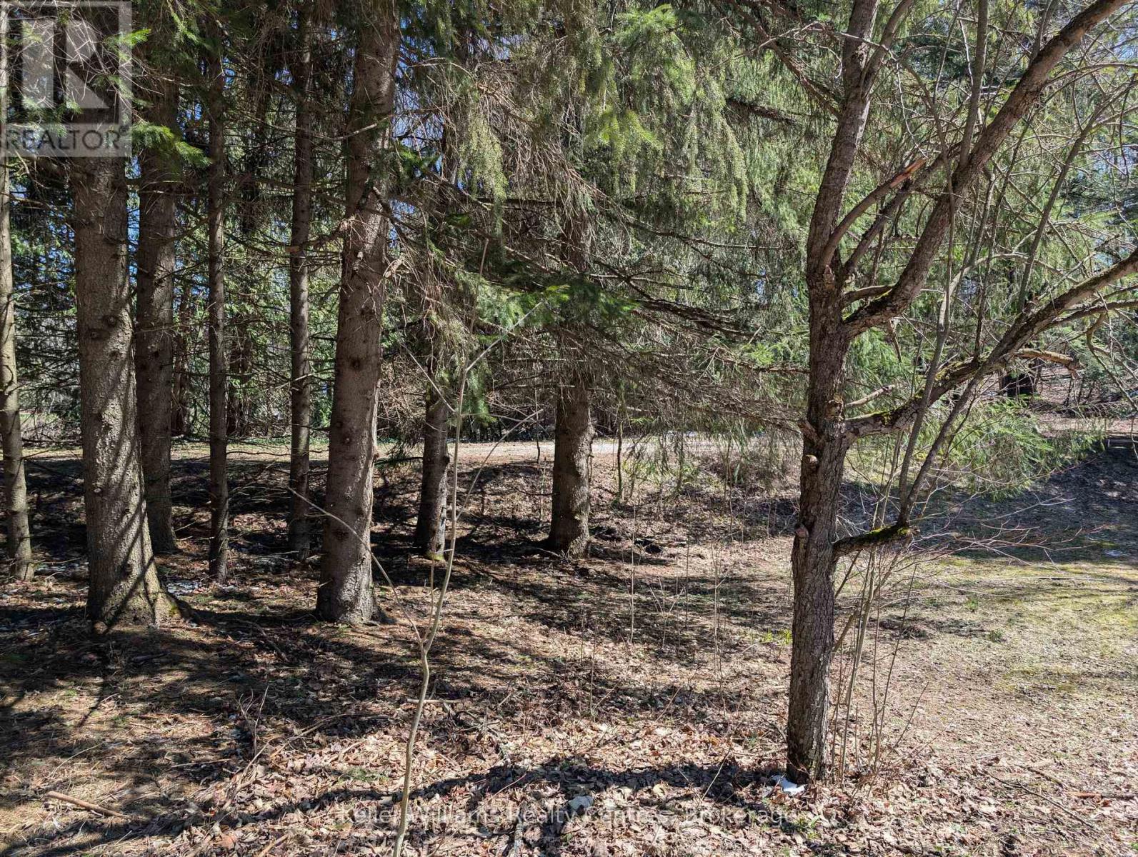 120 Anderson Drive S, West Grey, Ontario N0G 1S0 - Photo 16 - X12548288