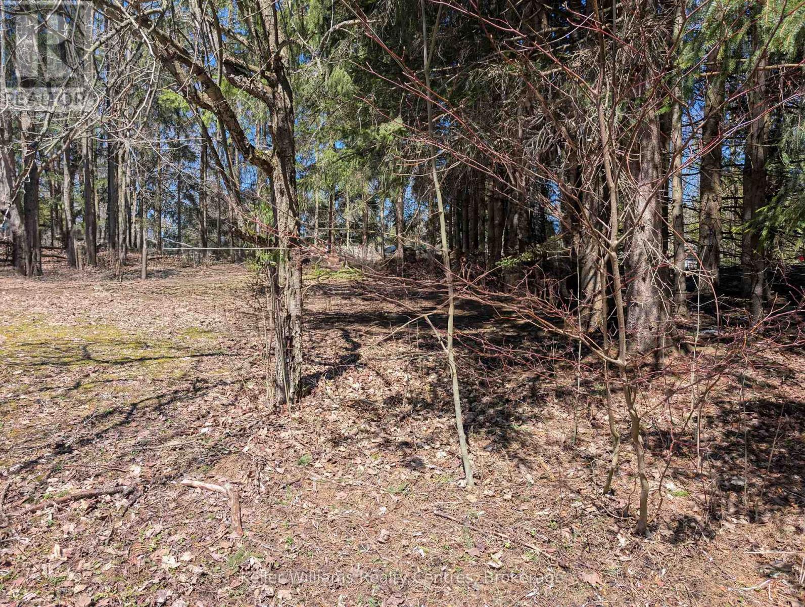 120 Anderson Drive S, West Grey, Ontario N0G 1S0 - Photo 17 - X12548288