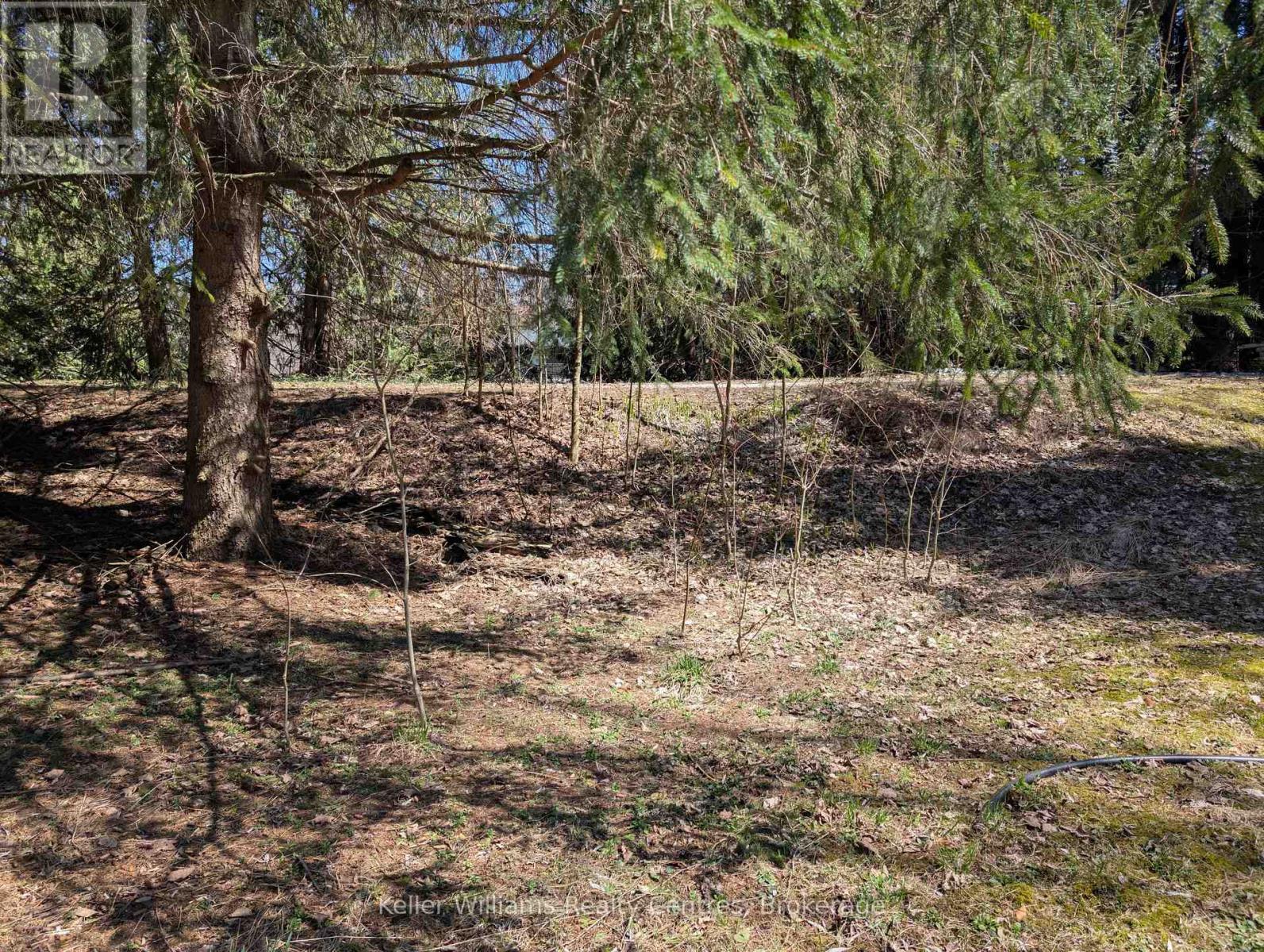 120 Anderson Drive S, West Grey, Ontario N0G 1S0 - Photo 19 - X12548288