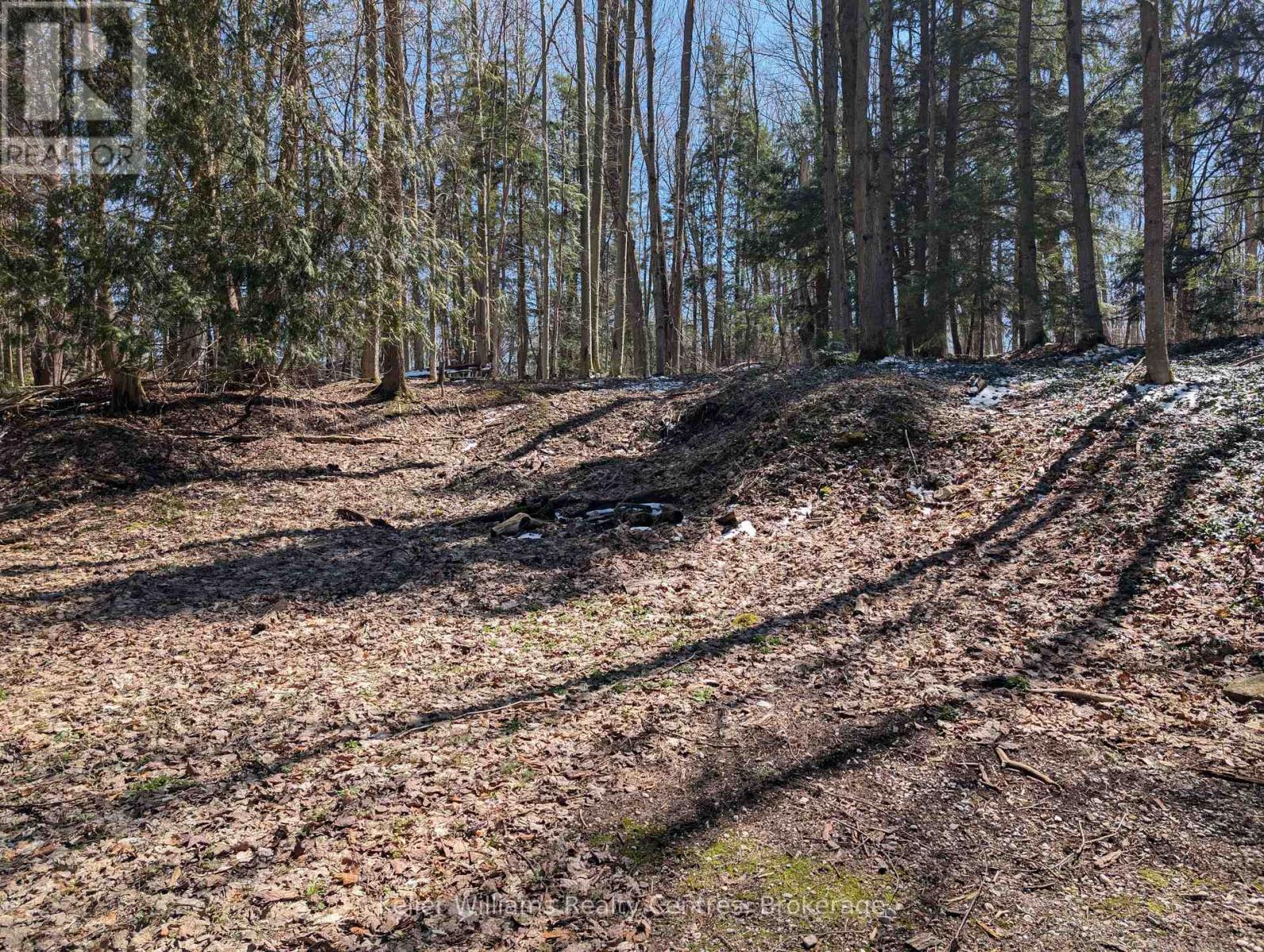 120 Anderson Drive S, West Grey, Ontario N0G 1S0 - Photo 21 - X12548288