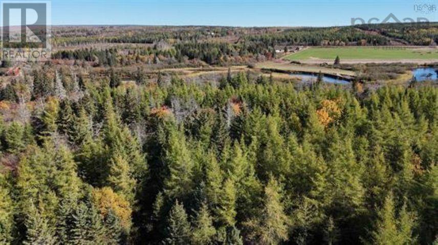 22 acres Dowling Road, Cleveland, Nova Scotia
