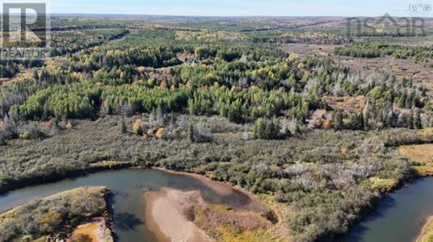 22 Acres Dowling Road, Cleveland, Nova Scotia  B0E 3L0 - Photo 11 - 202528030