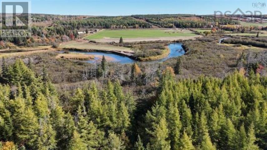 22 Acres Dowling Road, Cleveland, Nova Scotia  B0E 3L0 - Photo 8 - 202528030