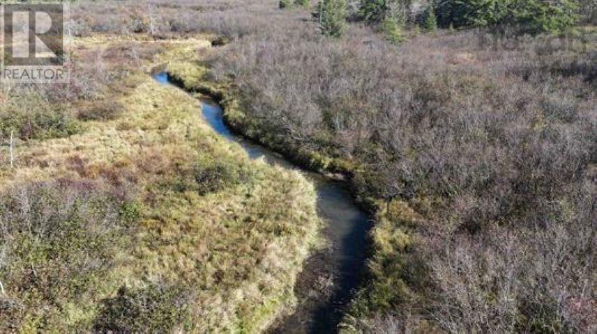 22 Acres Dowling Road, Cleveland, Nova Scotia  B0E 3L0 - Photo 4 - 202528030