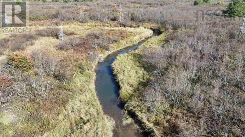22 Acres Dowling Road, Cleveland, Nova Scotia  B0E 3L0 - Photo 6 - 202528030