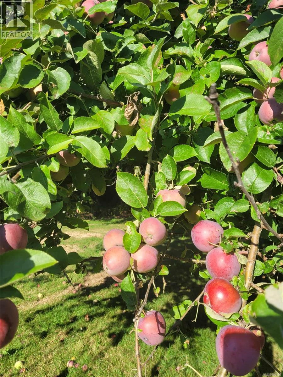 1393 Nelson Rd, Cowichan Bay, British Columbia  V0R 1N2 - Photo 10 - 999198