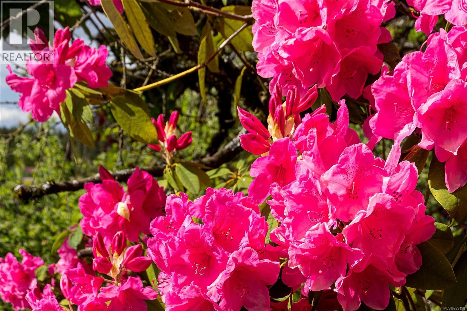 1393 Nelson Rd, Cowichan Bay, British Columbia  V0R 1N2 - Photo 47 - 999198