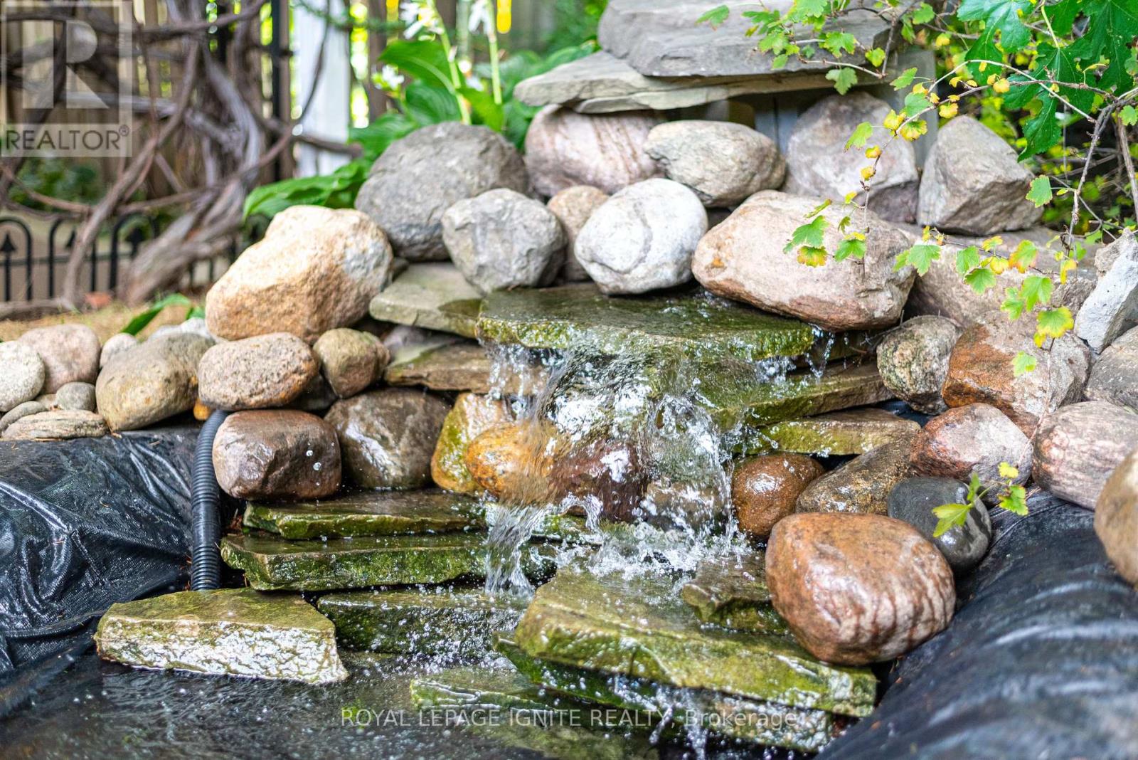 482 Mcroberts Avenue, Toronto, Ontario  M6E 4R4 - Photo 27 - W12548454