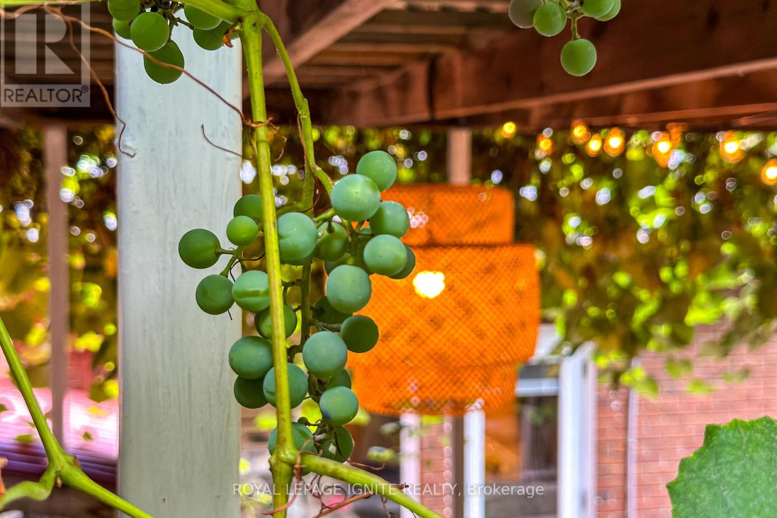 482 Mcroberts Avenue, Toronto, Ontario  M6E 4R4 - Photo 24 - W12548454