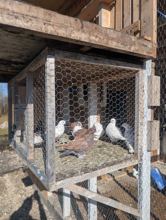 0 Highway 15 Rd 60n Highway, Vivian, Manitoba  R0E 0A0 - Photo 11 - 202527987